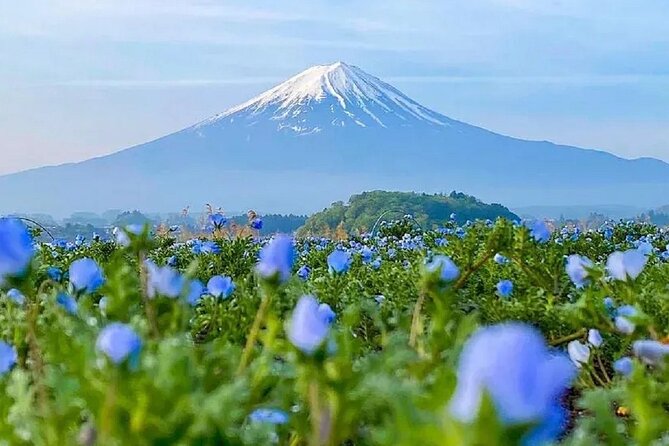Mt Fuji Pilgrimage Full Day Tour with 7 Must See Scenic Spots - Good To Know