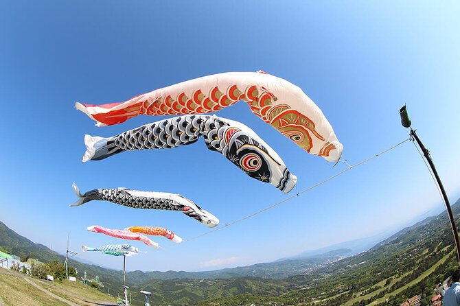 FromTokyo: Izu Scenic Oceanview Train, Volcano, Coast Day Trip - Riding the Resort 21 Ocean View Train