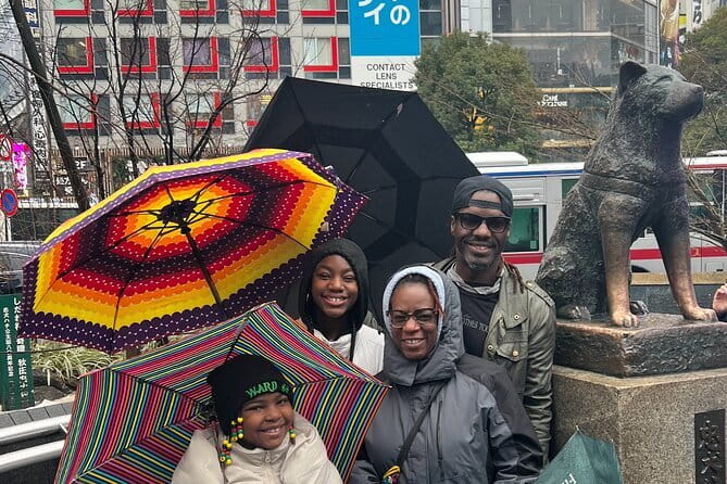 Mt. Fuji Mountain Driving Tour In A Luxury Sports Car - Who Should Consider This Tour?