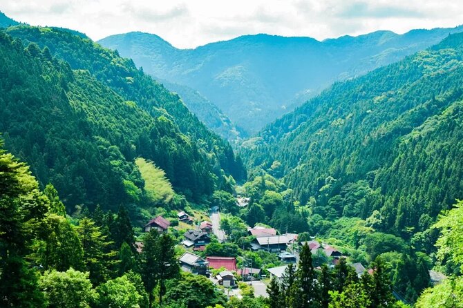 Tokyo Okutama Day trip Tour - Analyzing the Value