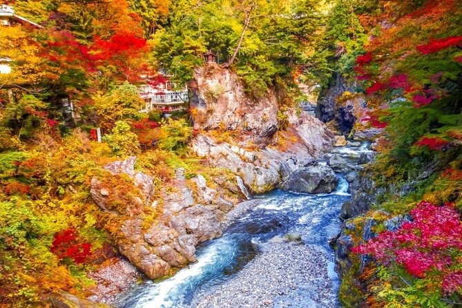 Tokyo Okutama Day trip Tour - Who Will Love This Tour?