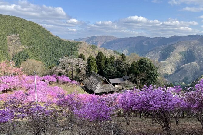 Tokyo Okutama Day trip Tour - FAQs