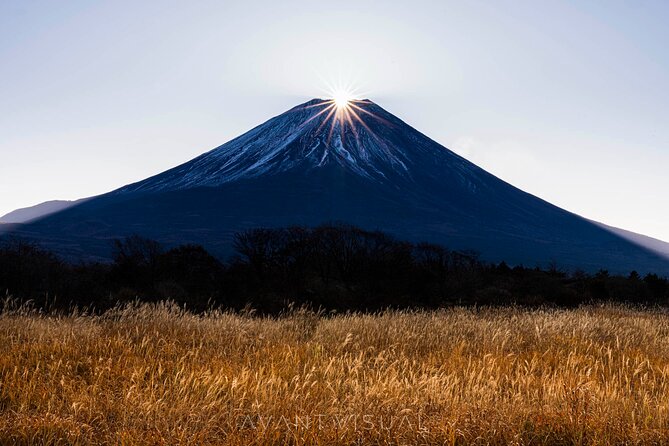 Tokyo To Mount Fuji Private English Guided Day Tour - An In-Depth Look at the Private Mount Fuji Day Trip