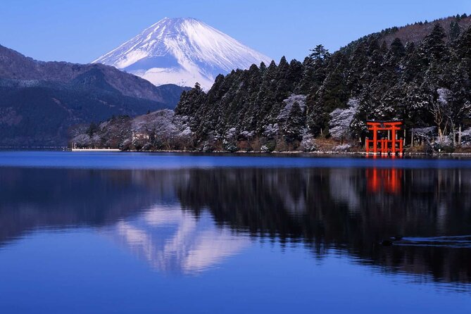 Hakone Private Customized Day Tour - Why This Tour Might Be Perfect for You