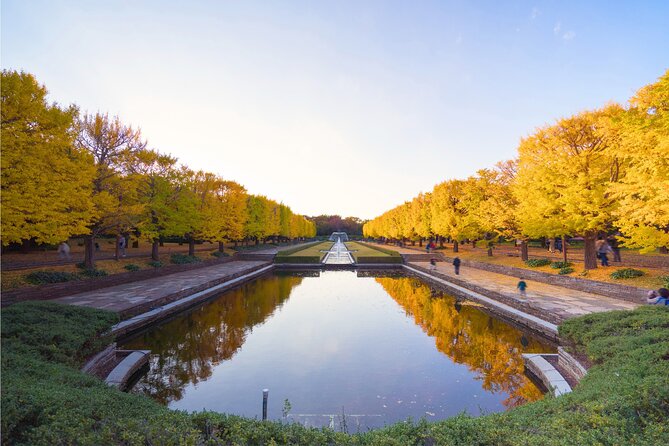Tokyo Day Trip Showa Kinen Park Seasonal Flowers and Nature Walk - Practical Tips for a Great Experience