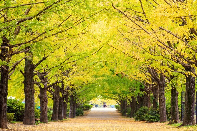 Tokyo Day Trip Showa Kinen Park Seasonal Flowers and Nature Walk - Who Should Consider This Tour?