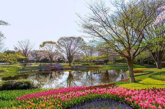Tokyo Day Trip Showa Kinen Park Seasonal Flowers and Nature Walk - The Sum Up