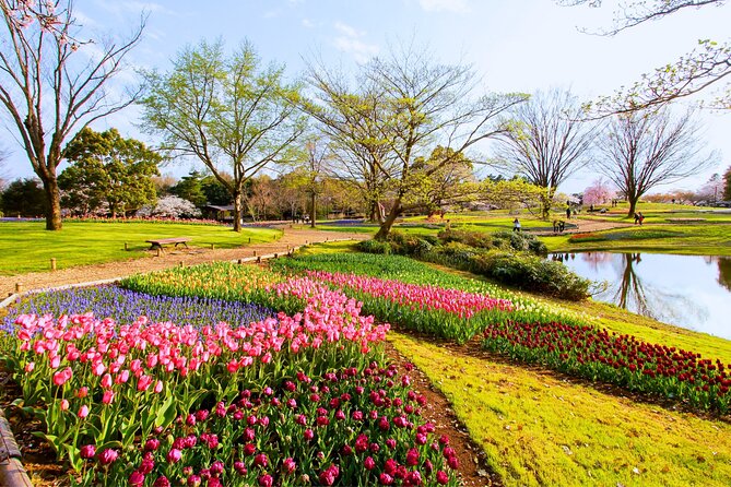 Tokyo Day Trip Showa Kinen Park Seasonal Flowers and Nature Walk - An In-Depth Look at the Showa Kinen Park Day Trip
