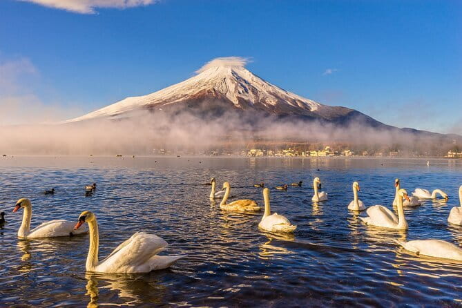 Tokyo Mt Fuji Kawaguchi and Yamanaka Onsen Tour with Pick up - What’s Included and Not Included