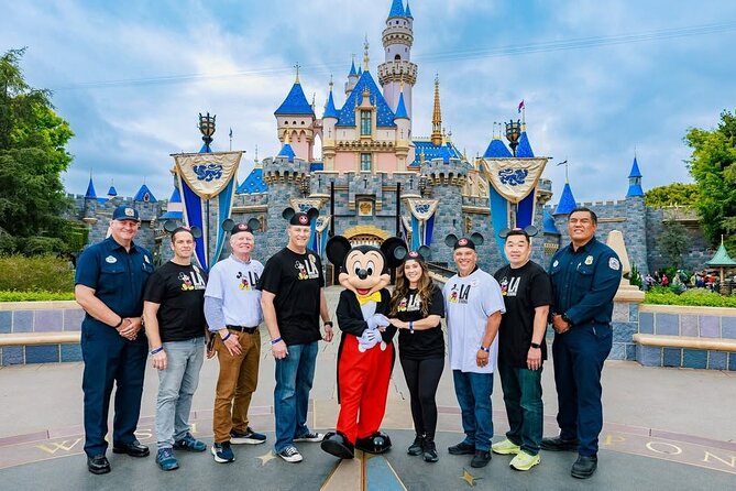 Disneyland or Disneysea Transfer to or from Tokyo English Driver - Why This Transfer Service Is Worth Considering