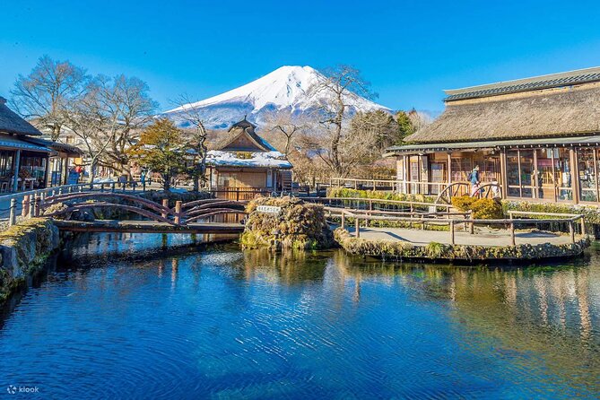 Tokyo 10-Hour Mt. Fuji & Hakone Lake Ashi Cruise & Ropeway Tour - Who Is This Tour Best For?