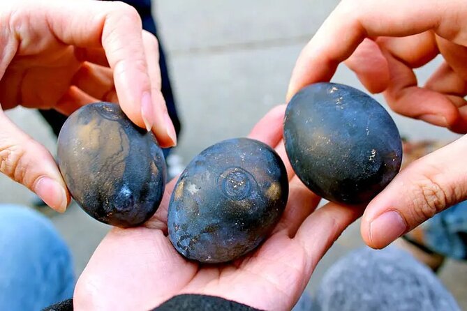 Tokyo 10-Hour Mt. Fuji & Hakone Lake Ashi Cruise & Ropeway Tour - FAQs