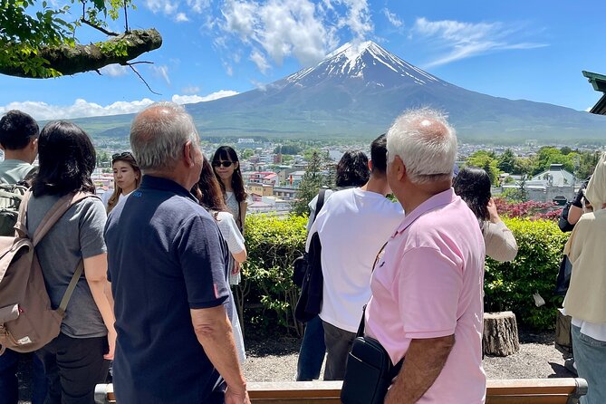 Tokyo: Customized Mt. Fuji & Hakone Sightseeing Private Day Trip - Who Should Consider This Tour?