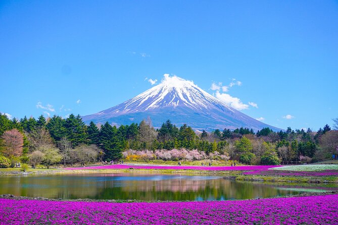 Tokyo: Customized Mt. Fuji & Hakone Sightseeing Private Day Trip - Key Points