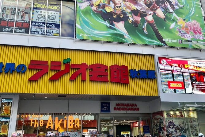 Akihabara Private Custom Tour with Pickup - Key Points