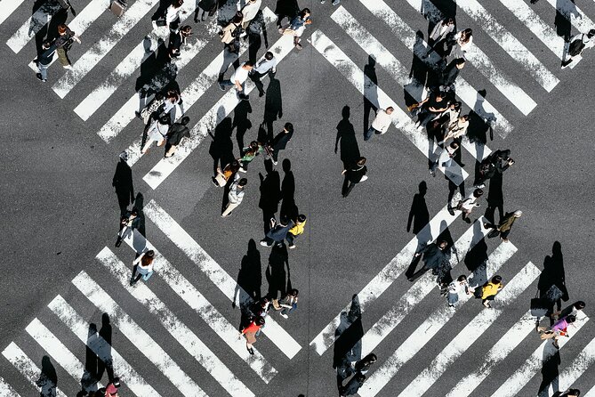 Private Tokyo City Tour With English Speaking Driver - A Closer Look at the Private Tokyo City Tour