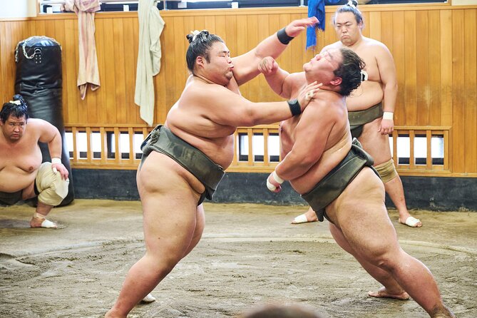 Tokyo: Sumo Morning Practice Viewing Tour at a Real Stable - The Guide and the Insightful Commentary
