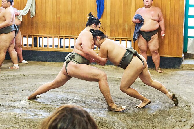 Tokyo: Sumo Morning Practice Viewing Tour at a Real Stable - The Camera and Photo Opportunities
