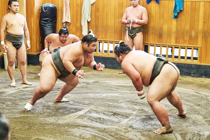 Tokyo: Sumo Morning Practice Viewing Tour at a Real Stable - Introducing the Experience