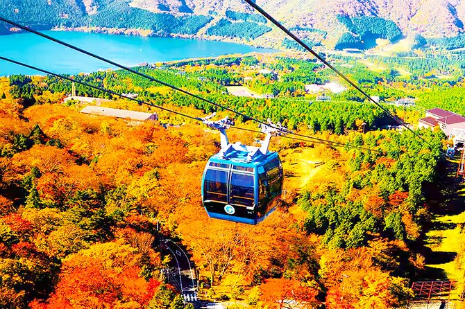 Tokyo: Mt. Fuji Cruise & Hakone Ropeway Day Trip by Bus - The Sum Up