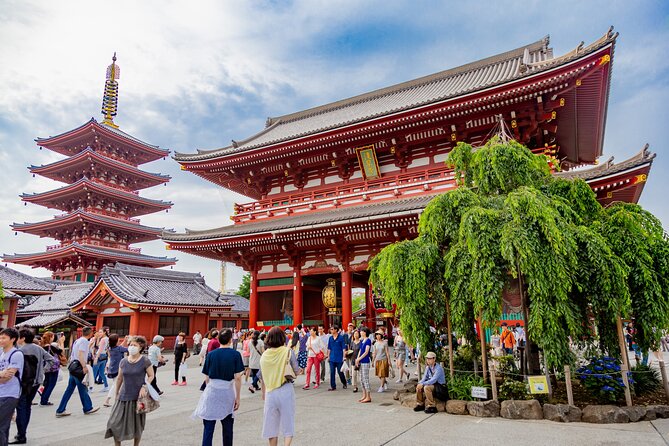 Tokyo Private Sightseeing Tour by Car - English speaking driver - In The Sum Up: Who Should Consider This Tour?