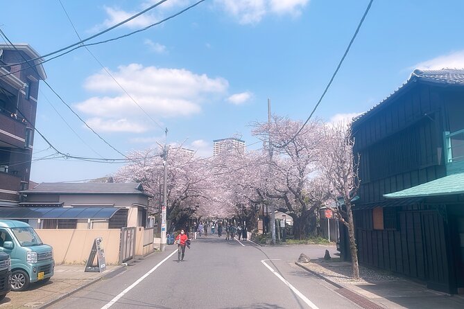 Yanaka & Ueno Tokyo's Old Town Charm - Temple, market,Retro Vibes - FAQ