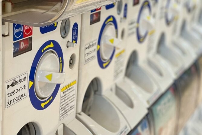 4 Hours Private Night Tour in Shibuya and Shinjuku - A Deep Dive into the Night Tour of Shibuya and Shinjuku