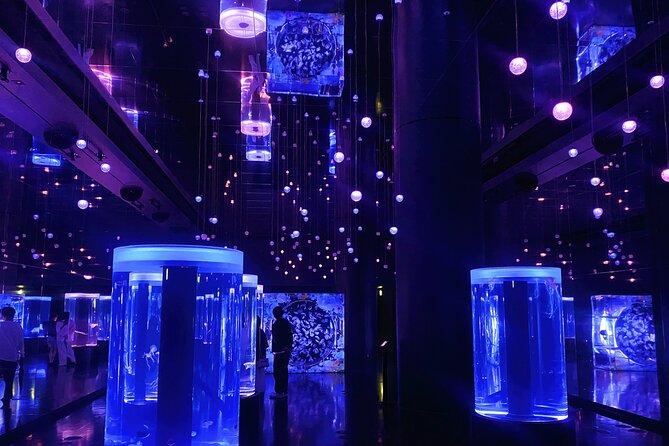 Tokyo Night E-Bike Tour with Tokyo Tower and Dolphin Show - FAQs