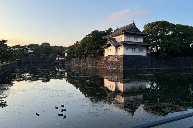 Private Custom Tour in Tokyo with a Bilingual Japanese Guide - Why Choose This Tour?