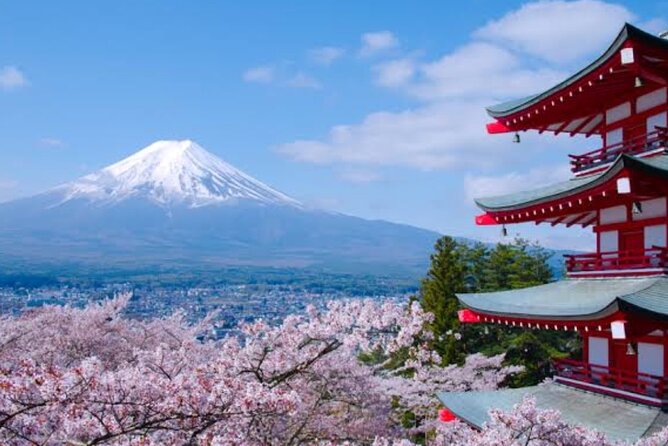 Mount Fuji Full Day Customize Private Tour with English Guide - Detailed Exploration of the Tour