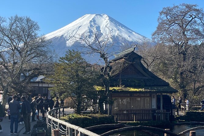 Mount Fuji Full Day Customize Private Tour with English Guide - Authentic Experiences and Traveler Insights