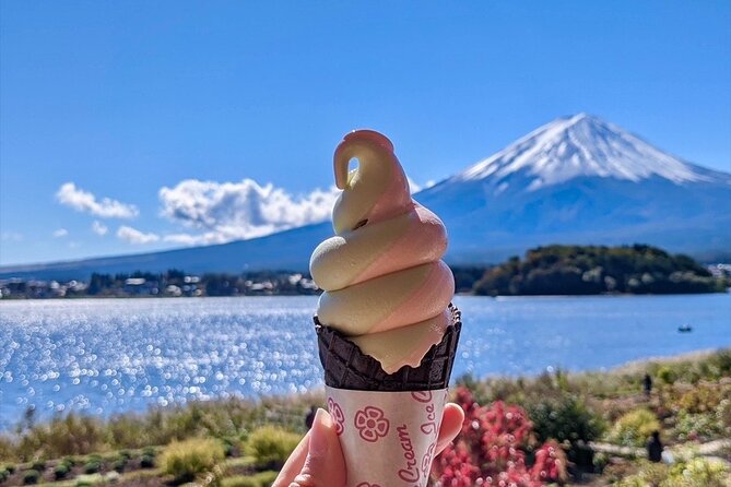 Mount Fuji Full Day Customize Private Tour with English Guide - Final Thoughts