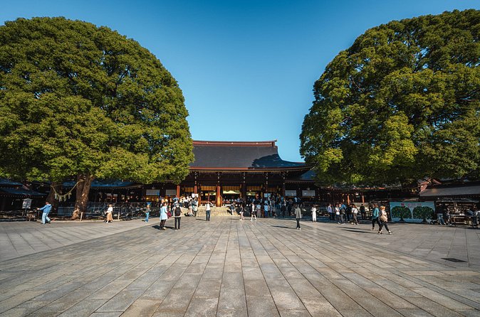 Tokyo Full Day Asakusa, Akihabara, Harajuku and Shinjuku - Who Is This Tour Best For?