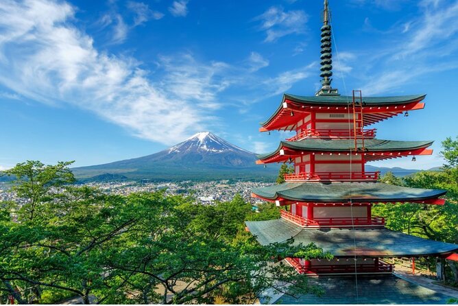 VIP Mt. Fuji and Hakone Customized Private One Day Tour. - Why Consider This Tour?