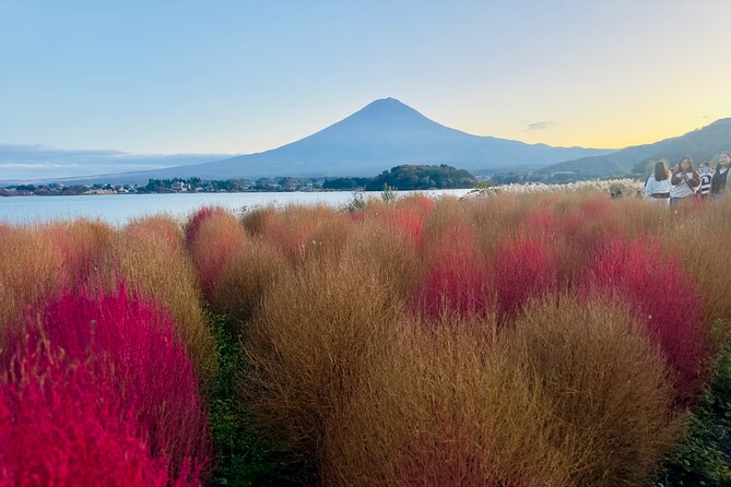 VIP Mt. Fuji and Hakone Customized Private One Day Tour. - Authentic Insights from Reviewers