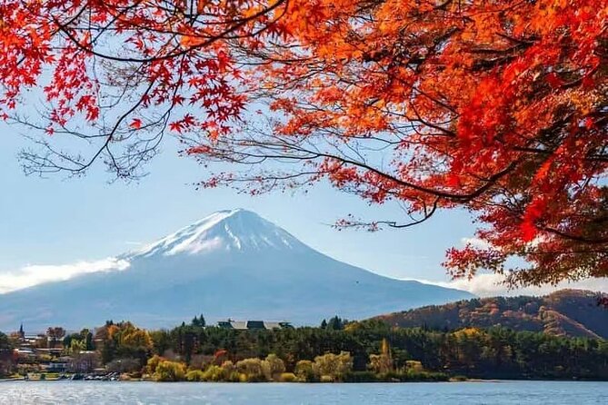 Private Car Tour to Mt. Fuji Lake Kawaguchiko - An In-Depth Look at the Mt. Fuji Lake Kawaguchiko Private Tour