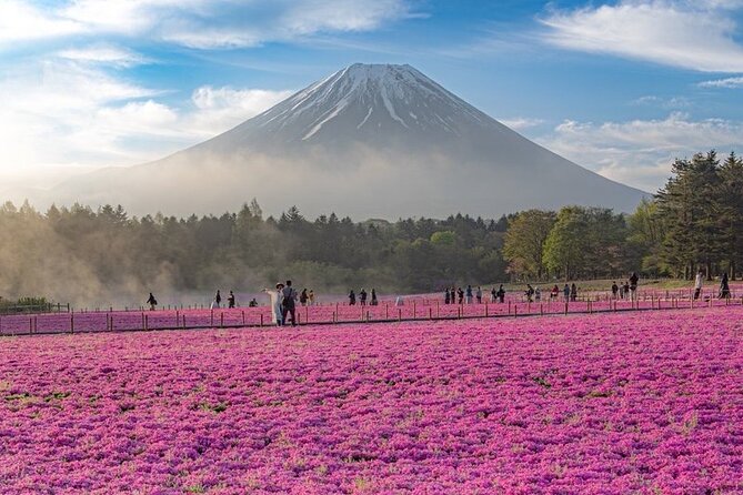 Mt Fuji Tour with Japanese Local Guide on Private Car from Tokyo - Key Points