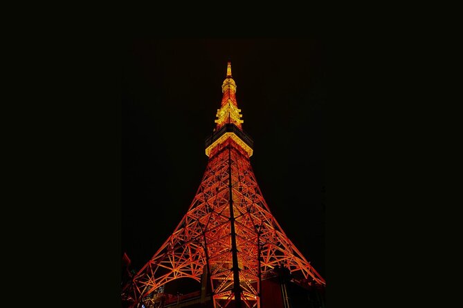 Tokyo Customizable Private Walking Tour with a Local Guide - Reviews and Real Experiences