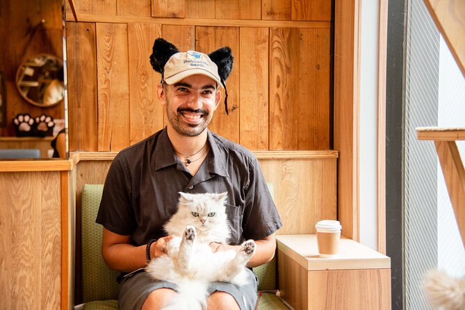 Akihabara Pop Culture and Relaxing Cat Café Tour with Local Guide - A Deep Dive into the Tour Experience
