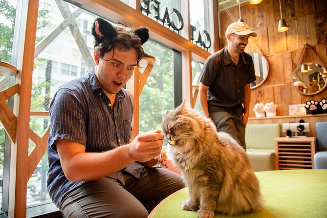 Akihabara Pop Culture and Relaxing Cat Café Tour with Local Guide - Why This Tour Adds Value