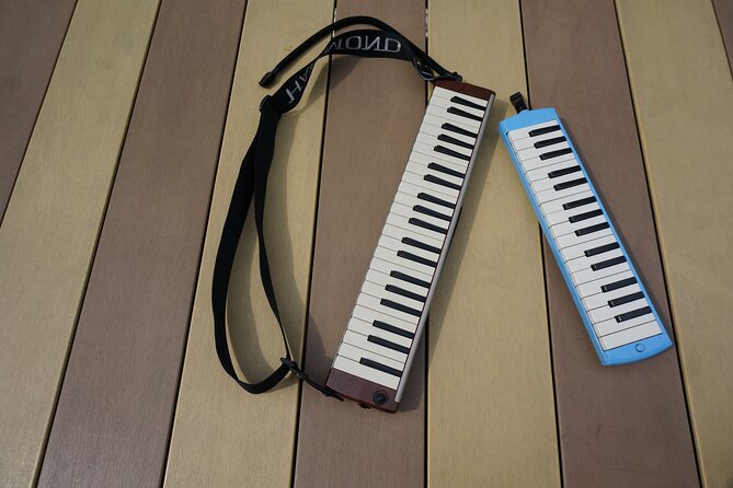 Unique Music Experience with Melodica originated in Japan - Who Will Love This Experience?
