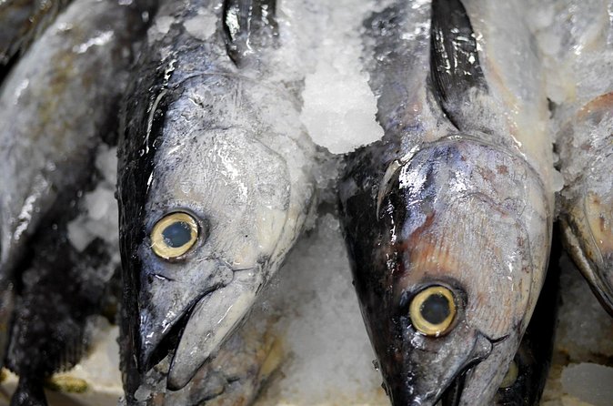 Behind-the-Scenes Toyosu Market & Sushi Making Experience - Authenticity and Value