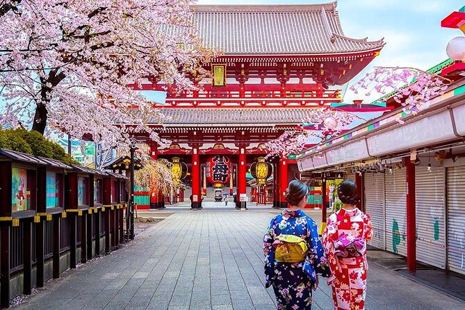 7 Days Customized Tokyo and Kansai Classic Family Tour - What Sets This Tour Apart