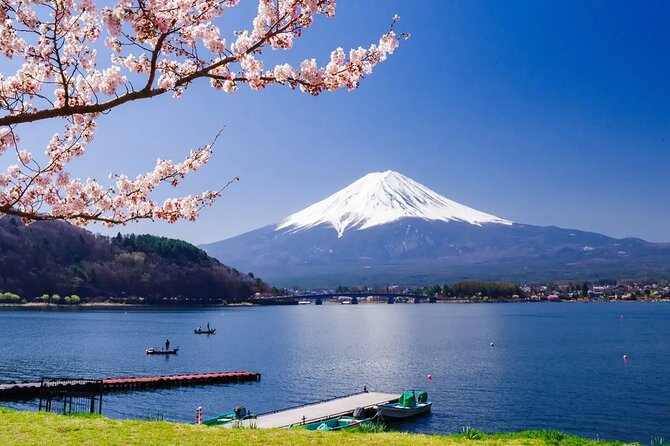 7 Days Customized Tokyo and Kansai Classic Family Tour - An In-Depth Look at the Itinerary and What You Can Expect