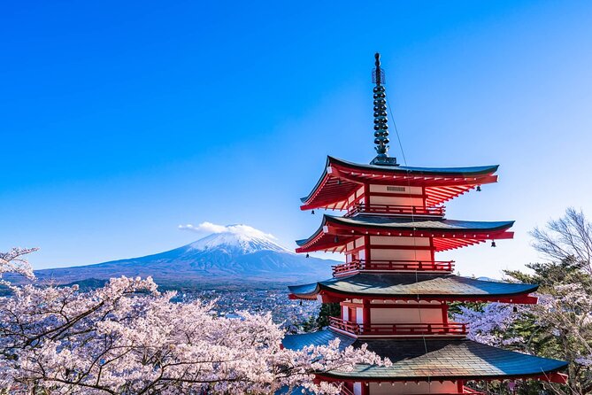 7 Days Customized Tokyo and Kansai Classic Family Tour - Exploring Japan in 7 Days: The Customized Tokyo and Kansai Family Tour