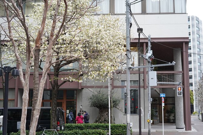 Tokyo Private Walking Tour - Practical Details