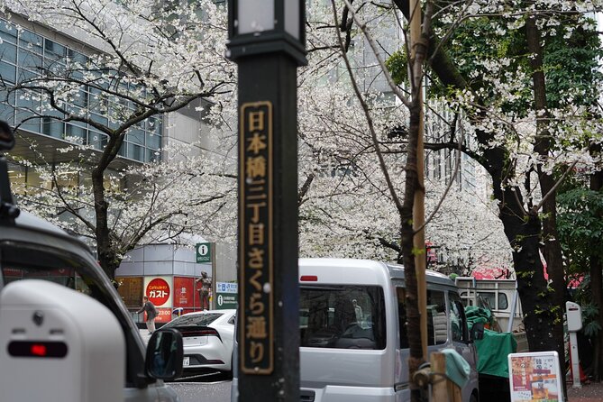 Tokyo Private Walking Tour - Key Points