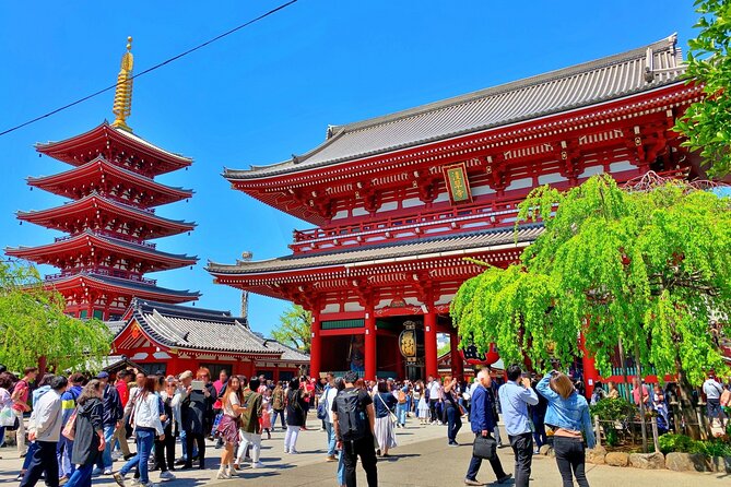 Unlock Hidden Tokyo: Private Custom Tour with a Local guide - Deep Dive into the Itinerary