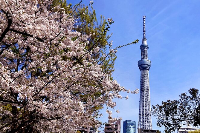 Unlock Hidden Tokyo: Private Custom Tour with a Local guide - The Experience of the Guides