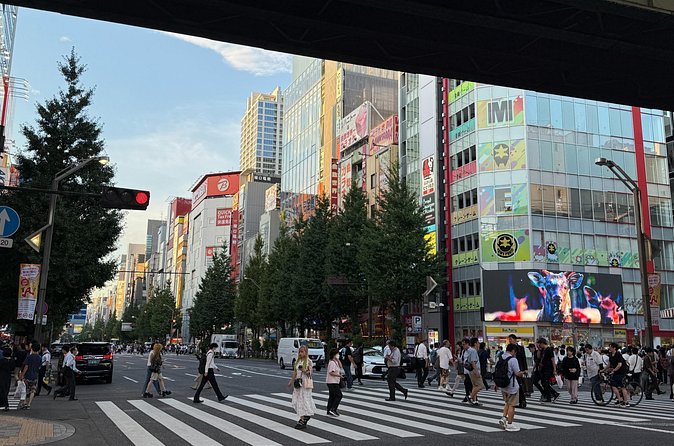 Akihabara Trading Card Shopping Tour with Local Guide - Who Should Consider This Tour?